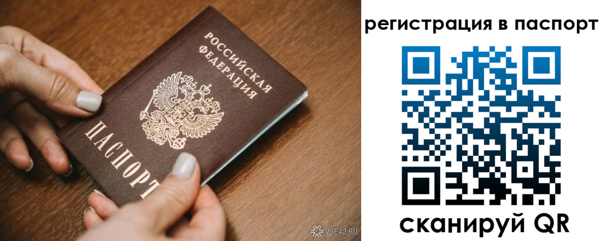 прописка паспорт в Калининграде